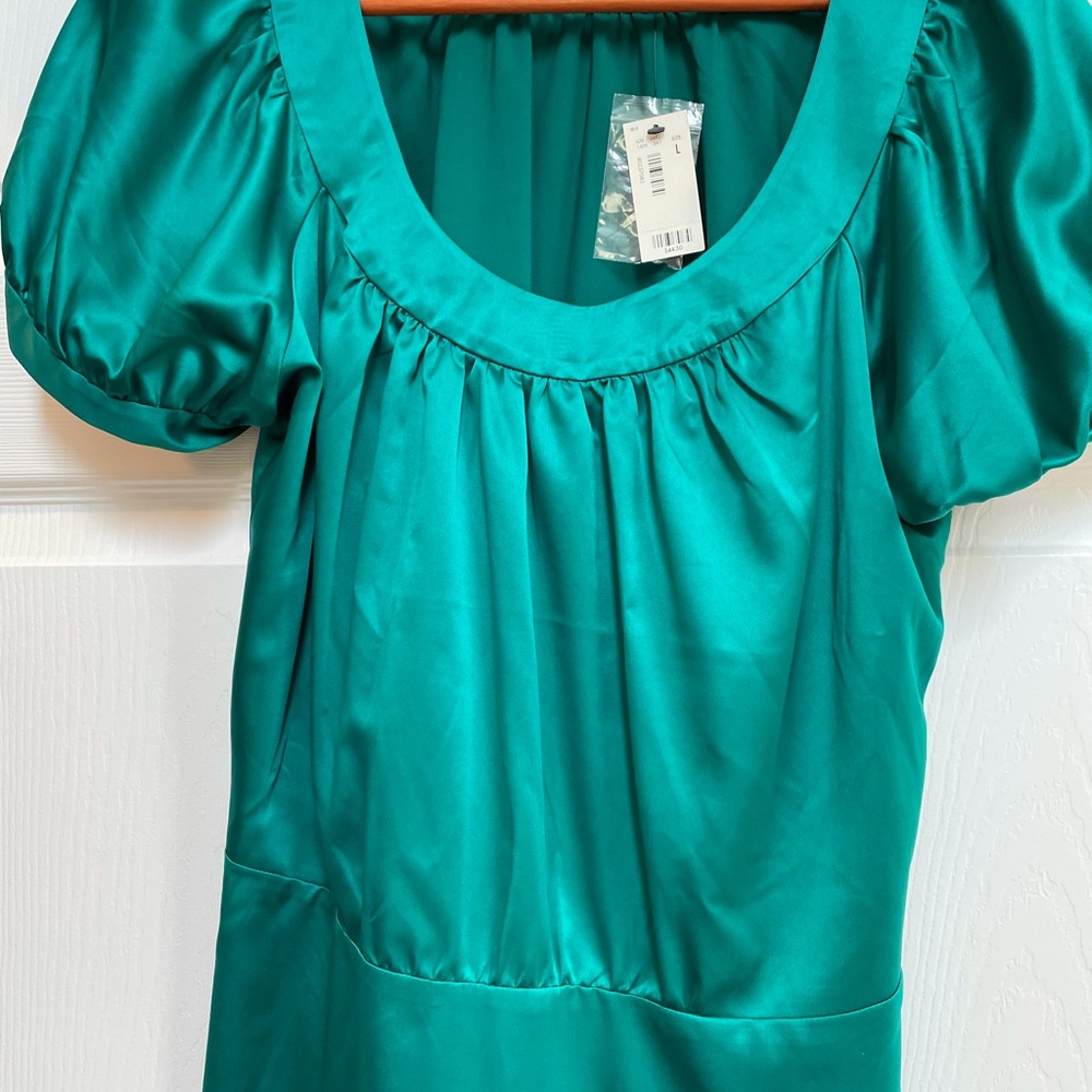 Express Silk dress shirt